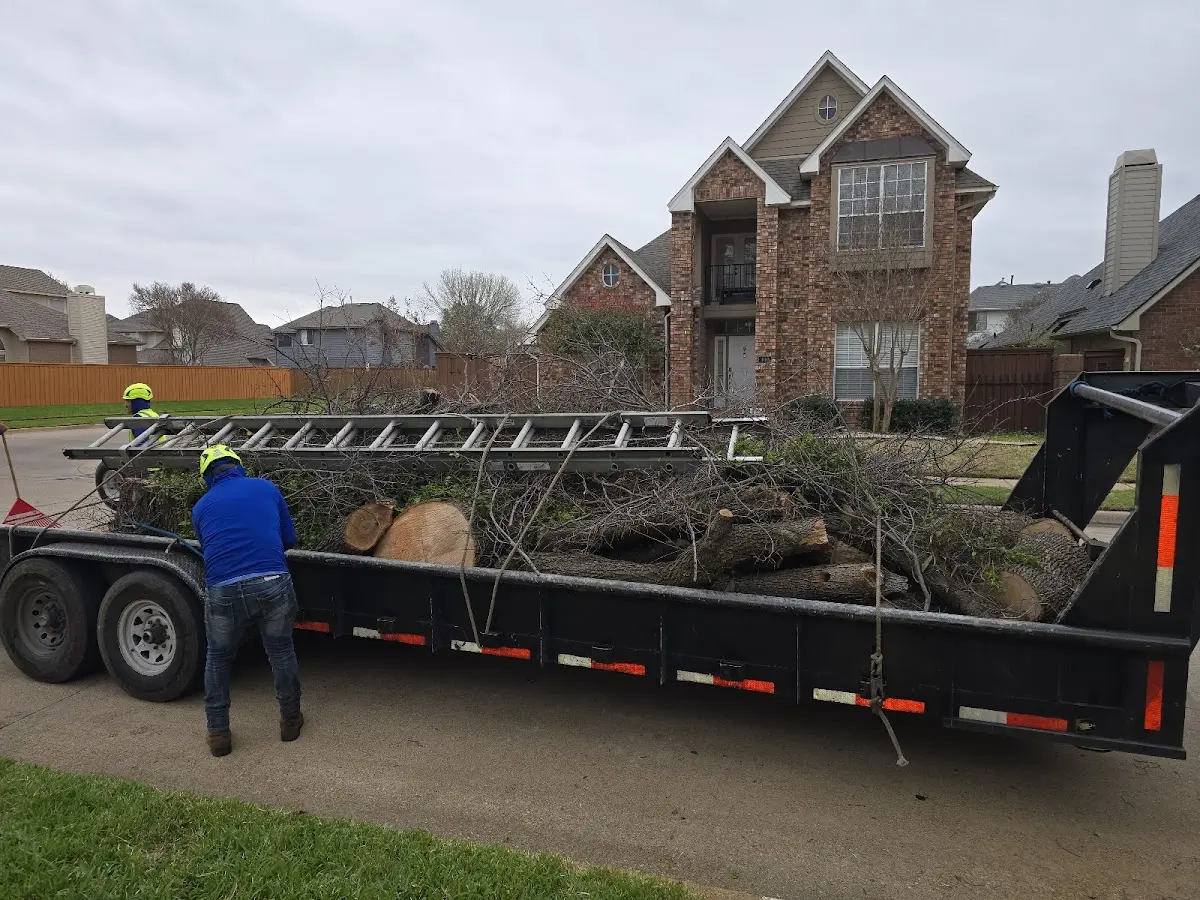 Expert Tree Fertilization with proper safety equipment in Bennett